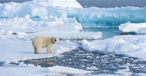 Axit trong biển Bắc Băng Dương tăng nhanh cùng biến đổi khí hậu