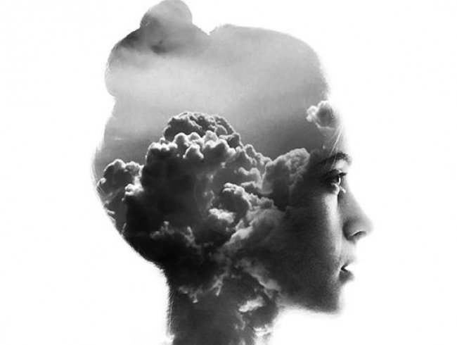 Não bộ được khử độc và phục hồi