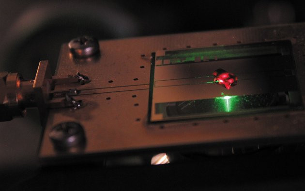 Tinh thể kim cương đen của Harvard  Tinh thể kim cương đen của Harvard