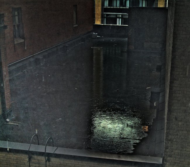 Tranh hay là thực?