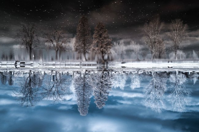 Ảnh nghệ thuật