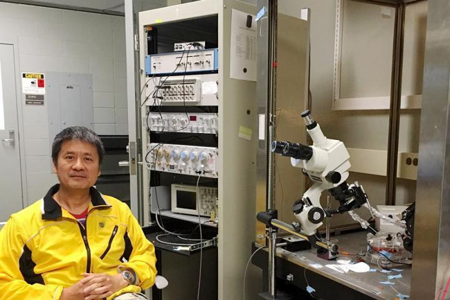 Tìm thấy một loại protein mới đóng vai trò chi phối bệnh rối loạn tự kỷ