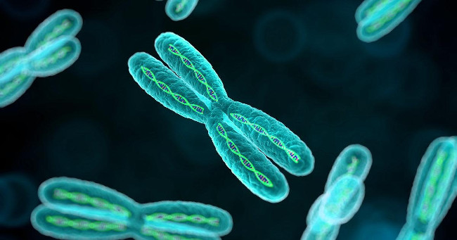 Tìm thấy gen gây đột tử ở trẻ em 