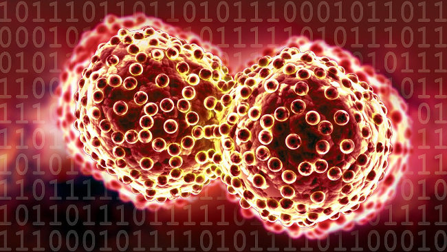 Tế bào ung thư vú di căn đến não