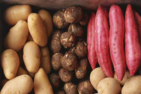 Ăn đủ trái cây và rau quả