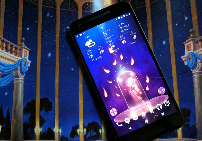 Theme hoa hồng của hoàng tử Adam Theme hoa hồng của hoàng tử Adam