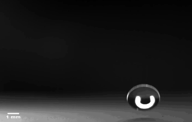 Khi một giọt mưa rơi xuống, hàng ngàn con vi khuẩn được phóng vào không khí 