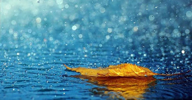 Những con mưa có thể "phóng thích" hàng trăm nghìn tỷ vi khuẩn vào không khí 