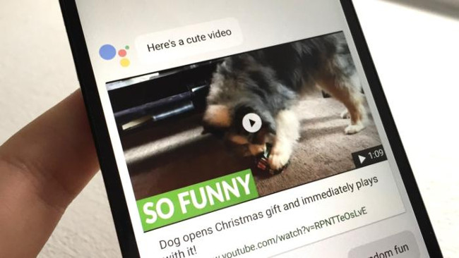 Yêu cầu Assistant giải trí cho bạn Yêu cầu Assistant giải trí cho bạn