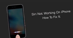 Hướng dẫn cách sửa lỗi Siri không hoạt động trên iPhone/iPad