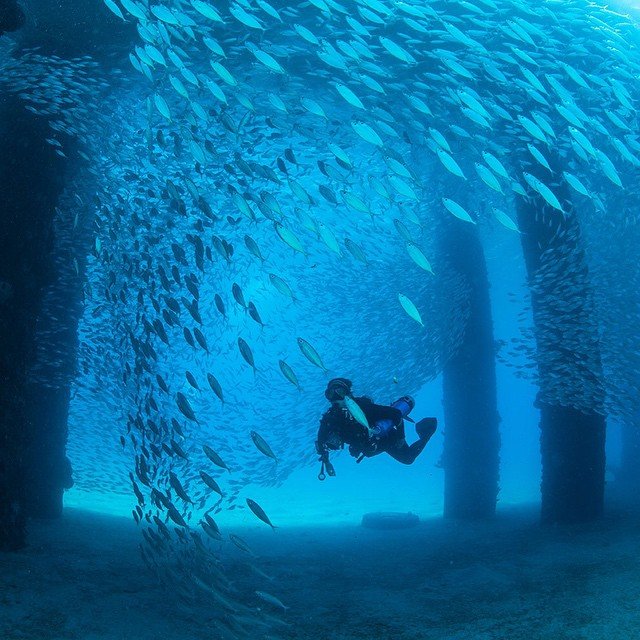 Khách du lịch có thể dùng chúng cho các hoạt động khác nhau như lặn biển, du ngoạn và lướt sóng. Khách du lịch có thể dùng chúng cho các hoạt động khác nhau như lặn biển, du ngoạn và lướt sóng.