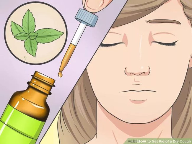 Dùng tinh dầu thiên nhiên làm dịu cơn ho Dùng tinh dầu thiên nhiên làm dịu cơn ho