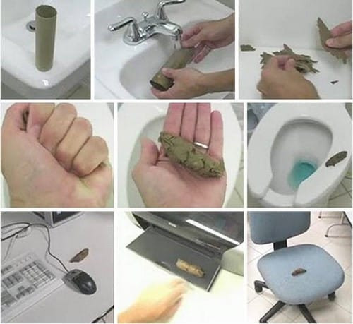 Biến lõi giấy vệ sinh thành cục shit