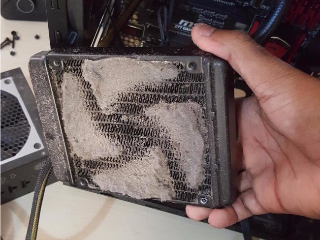 Đám bụi bẩn này như một tác phẩm nghệ thuật của tạo hóa được gắn chặt vào quạt tản nhiệt.