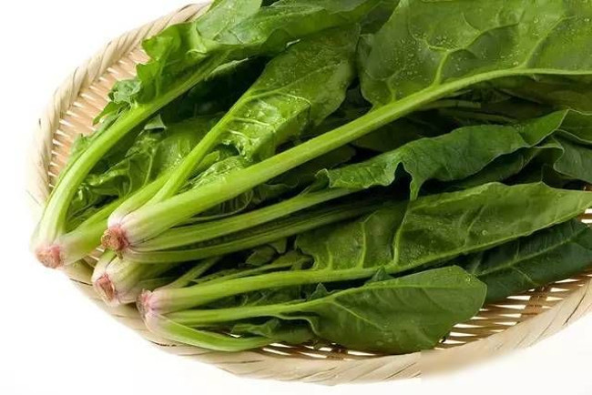 Rau bina là một trong những loại rau bị phun liên tục thuốc trừ sâu  Rau bina là một trong những loại rau bị phun liên tục thuốc trừ sâu