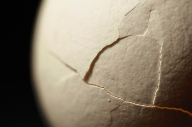 Bột gây kích ứng mắt, mũi và hệ hô hấp trong vỏ trứng