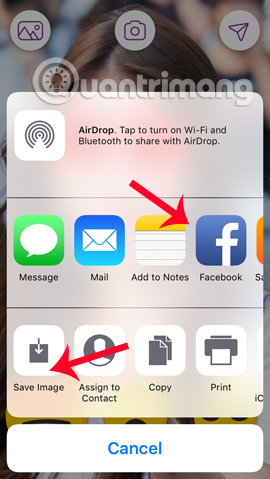 Tải hình ảnh trên Memoji về thiết bị
