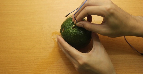 Cắm lần lượt 2 dây vào 2 nửa của quả cam 