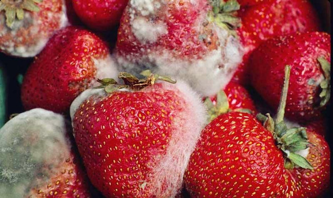 Những nguy cơ cần tránh