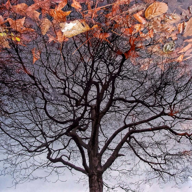 Chụp ảnh với vũng nước Chụp ảnh với vũng nước