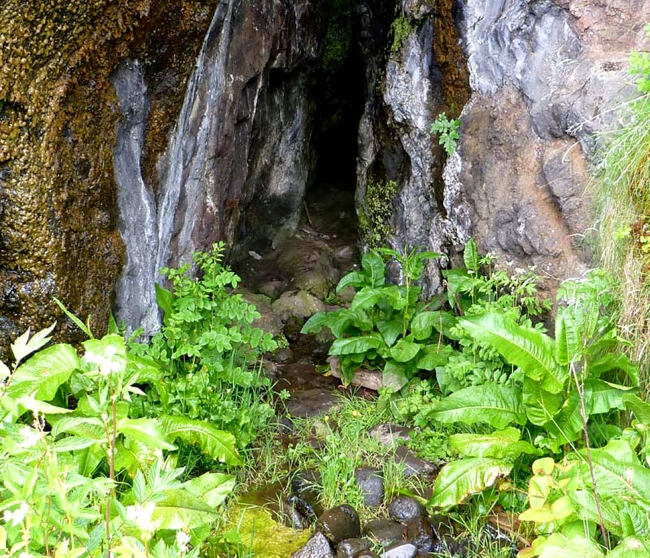 Xương người có thể do tàn sát gia tộc 