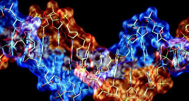 Các tế bào DNA bị tổn thương trên cơ thể