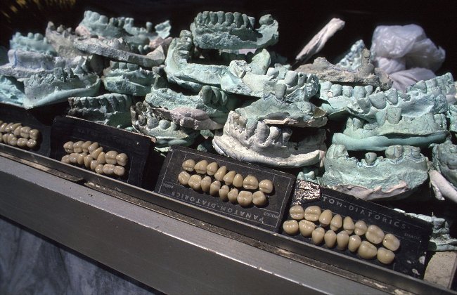 Chăm sóc răng miệng Chăm sóc răng miệng