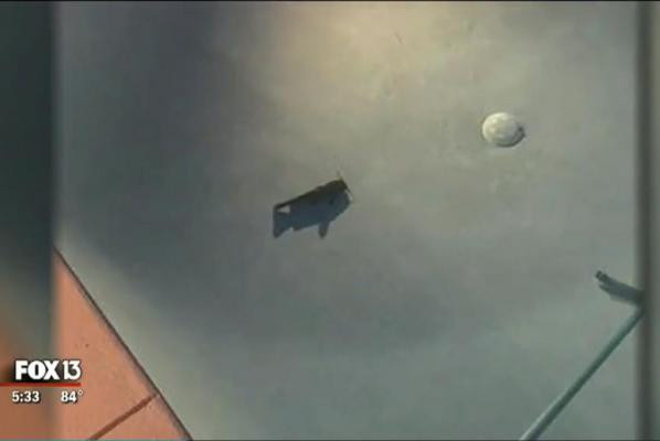 Cá không hề bị thương 