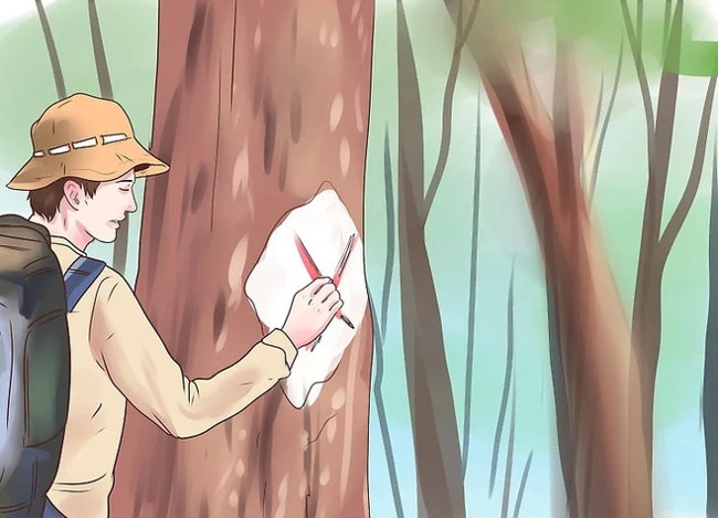 Cần xác định phương hướng