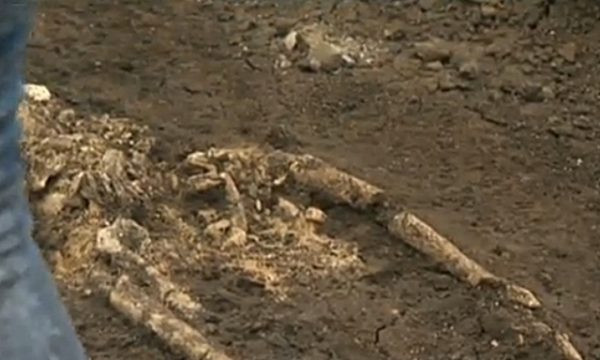 Toàn bộ xương được phát hiện tại đây sẽ được phân tích Toàn bộ xương được phát hiện tại đây sẽ được phân tích