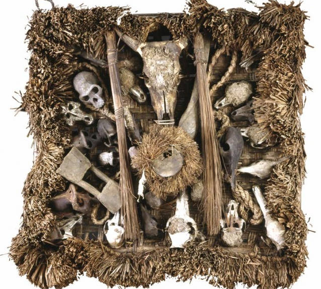 Tàn tích sót lại của tổ chức báo đốm  Tàn tích sót lại của tổ chức báo đốm