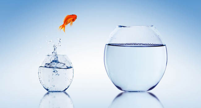 Thay đổi công việc