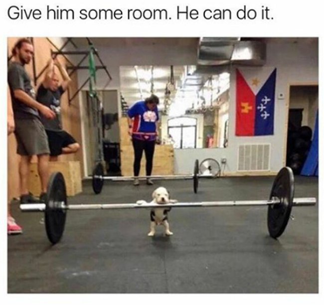 Anh ấy có thể làm được