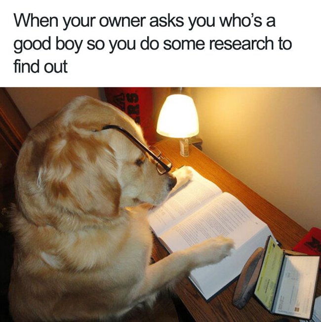 Khi ông chủ yêu cầu phải là một chàng trai tốt!