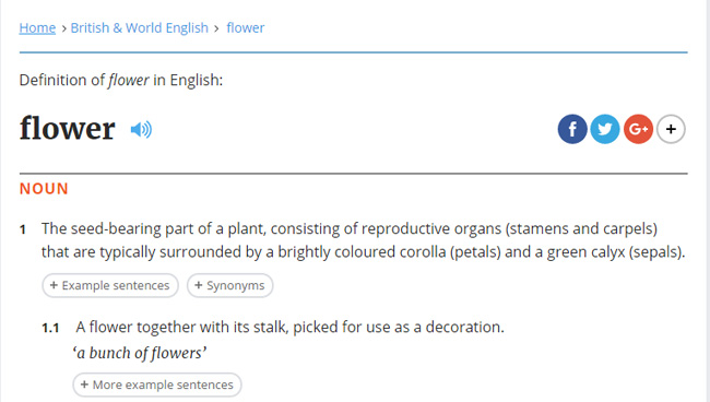 Giao diện từ điển Oxford Giao diện từ điển Oxford