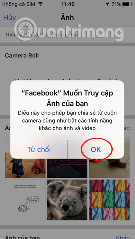 Sử dụng ảnh trong album