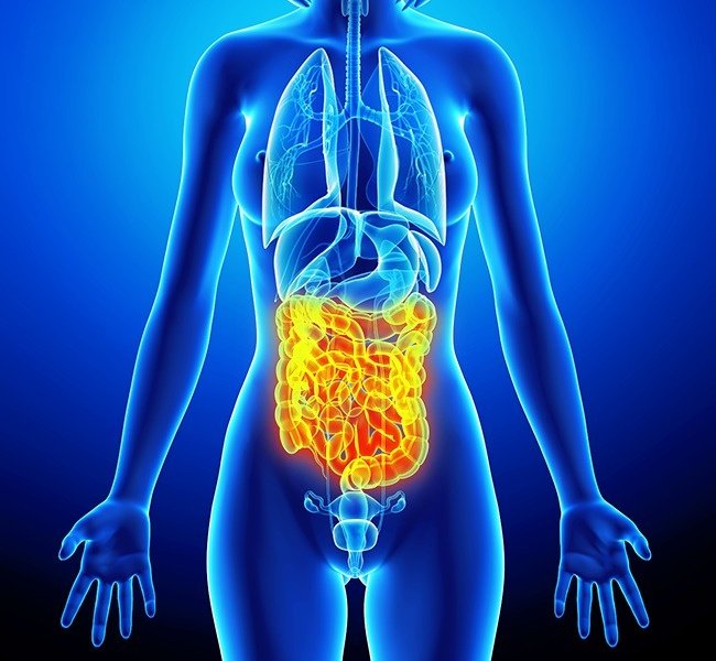 Vấn đề tiêu hoá Vấn đề tiêu hoá