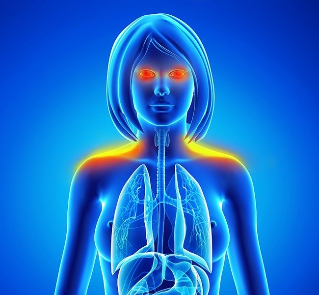 Mệt mỏi Mệt mỏi