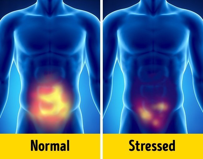 Giảm khả năng tình dục Giảm khả năng tình dục