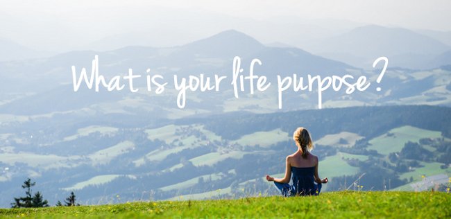 Nếu bạn đang đi tìm mục đích cuộc đời mình, hãy đọc bài viết này!