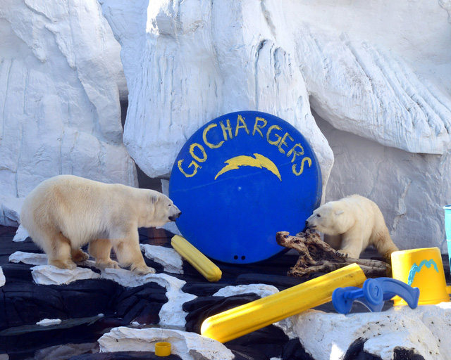 Szenja và SnowFlake