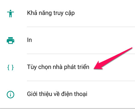 Tùy chọn nhà phát triển 