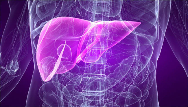 Tỷ lệ người mắc bệnh viêm gan ngày càng gia tăng Tỷ lệ người mắc bệnh viêm gan ngày càng gia tăng