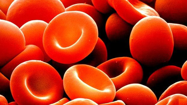 Mô hình chứa protein PorB lại có các kháng thể vắc xin