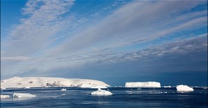 Phải chăng Nam Cực từng được bao phủ bởi các rừng cận nhiệt đới tươi tốt?