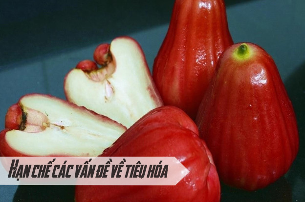 Hỗ trợ đường tiêu hóa