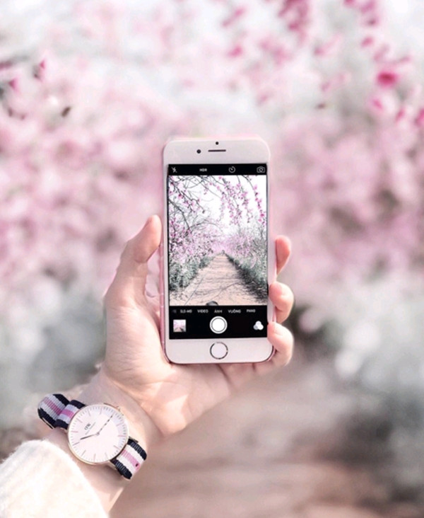 Chẳng cần máy cơ đắt tiền, bạn cũng có thể xóa phông một cách chuyên nghiệp