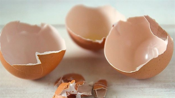 Vỏ trứng Vỏ trứng