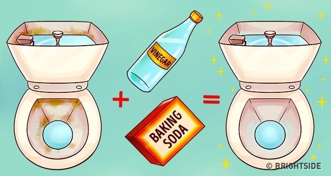 Điều gì sẽ xảy ra khi đổ giấm vào bồn vệ sinh?