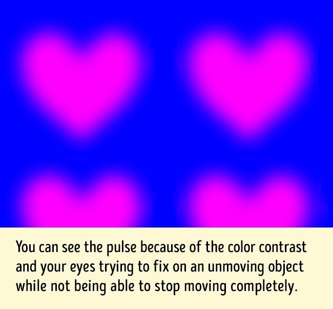 Trái tim ngừng chuyển động  Trái tim ngừng chuyển động